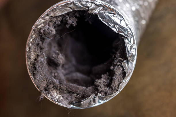 Best HVAC Duct Inspection Services  in Brielle, NJ