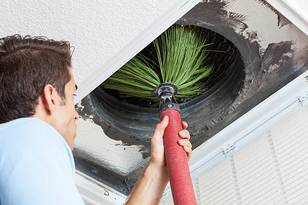 Best Dryer Vent Cleaning Services  in Brielle, NJ